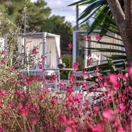 Boutique Casa Caracol - In Strandnaehe, Salzwasserpool, Fotovoltaik, Adults Only דירה *